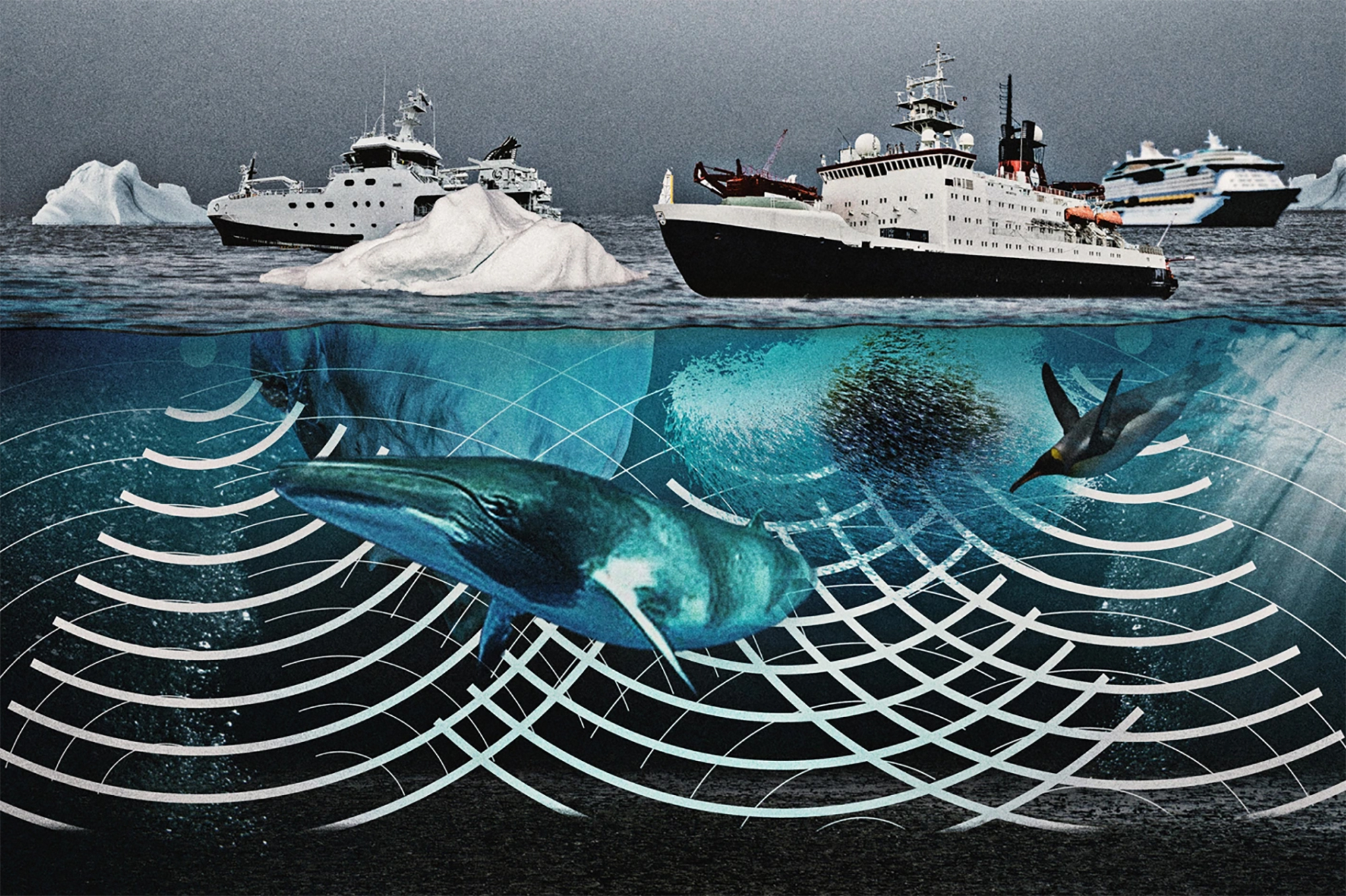Richard Kapp, Graphic, Ships, Ice, Ocean