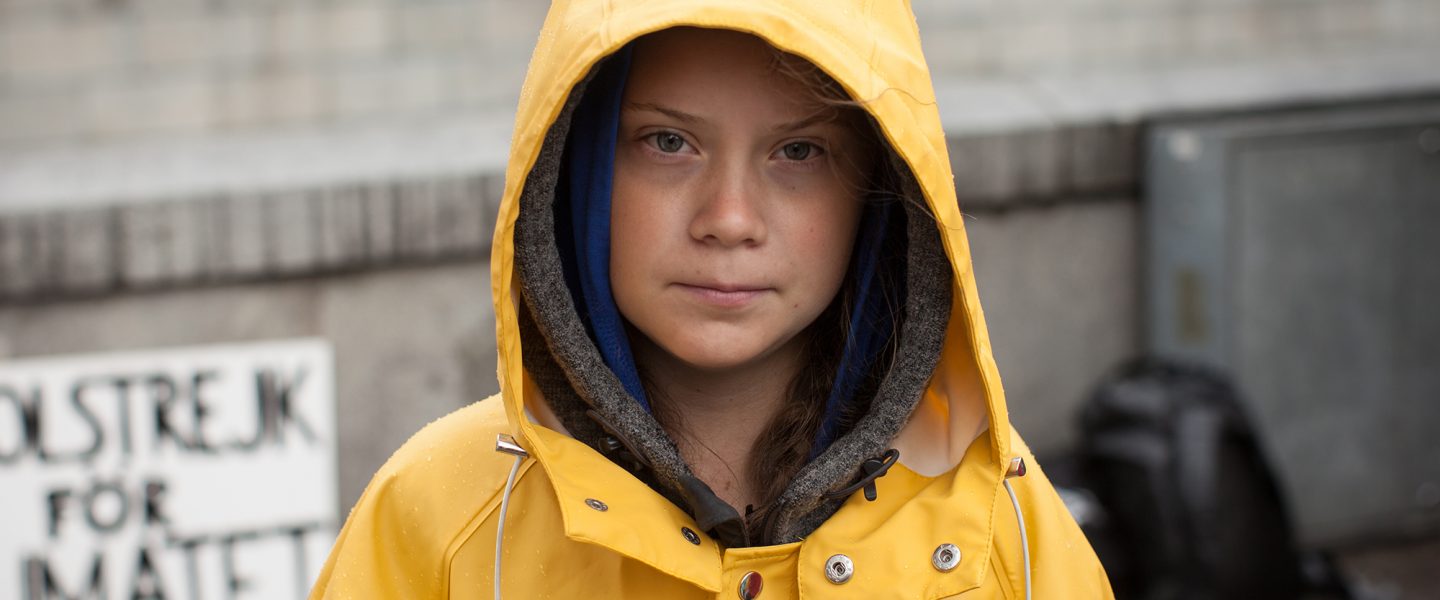 Greta Thunberg, Swedish parliament