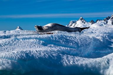 climate crisis, east Antarctica, sea level rise, research