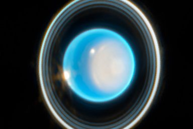 space, NASA, Webb telescope, Uranus, rings, new images