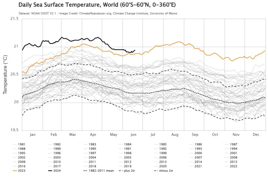 Daily Sea Surface Temperature, World