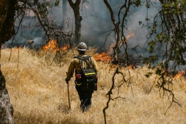 Forest Fire, Fire Fighter