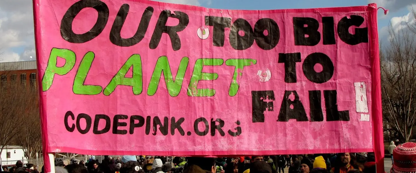 Code Pink, sign, Forward on Climate, rally, 2013