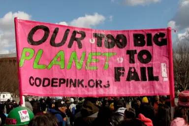 Code Pink, sign, Forward on Climate, rally, 2013