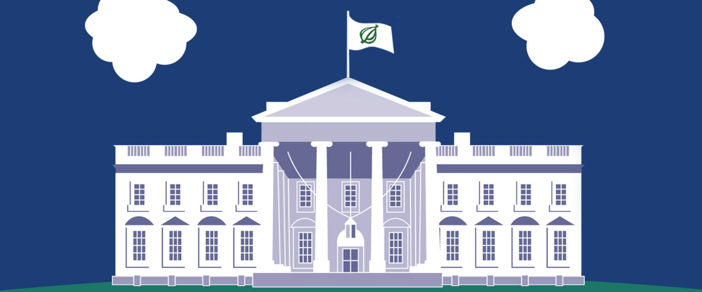 The White House, The Onion, Flag