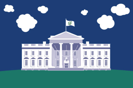 The White House, The Onion, Flag