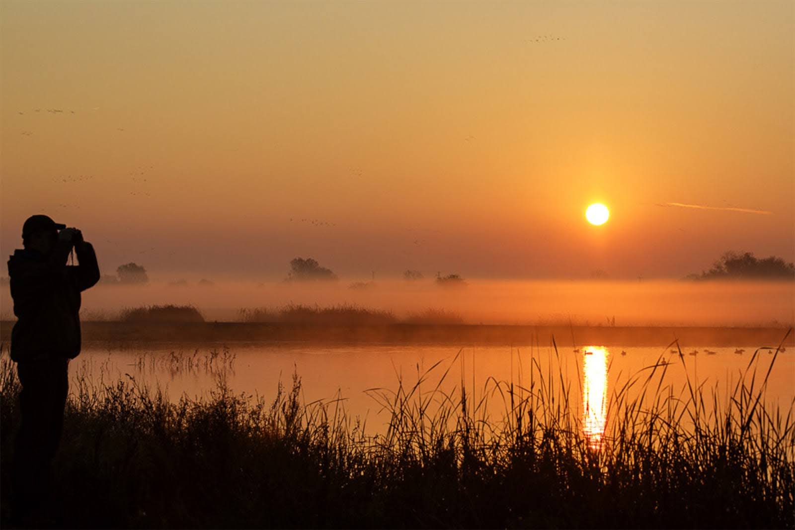 Cosumnes River, Preserve, BLM, California