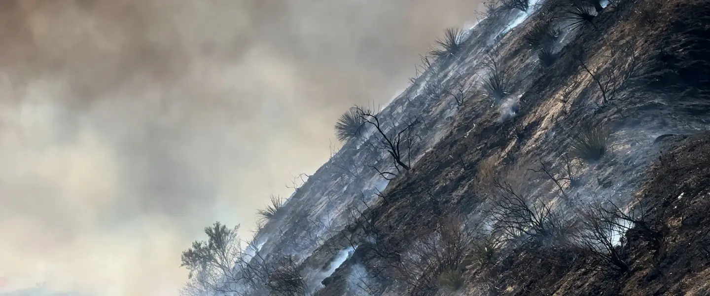 Hughes Fire, burning, California