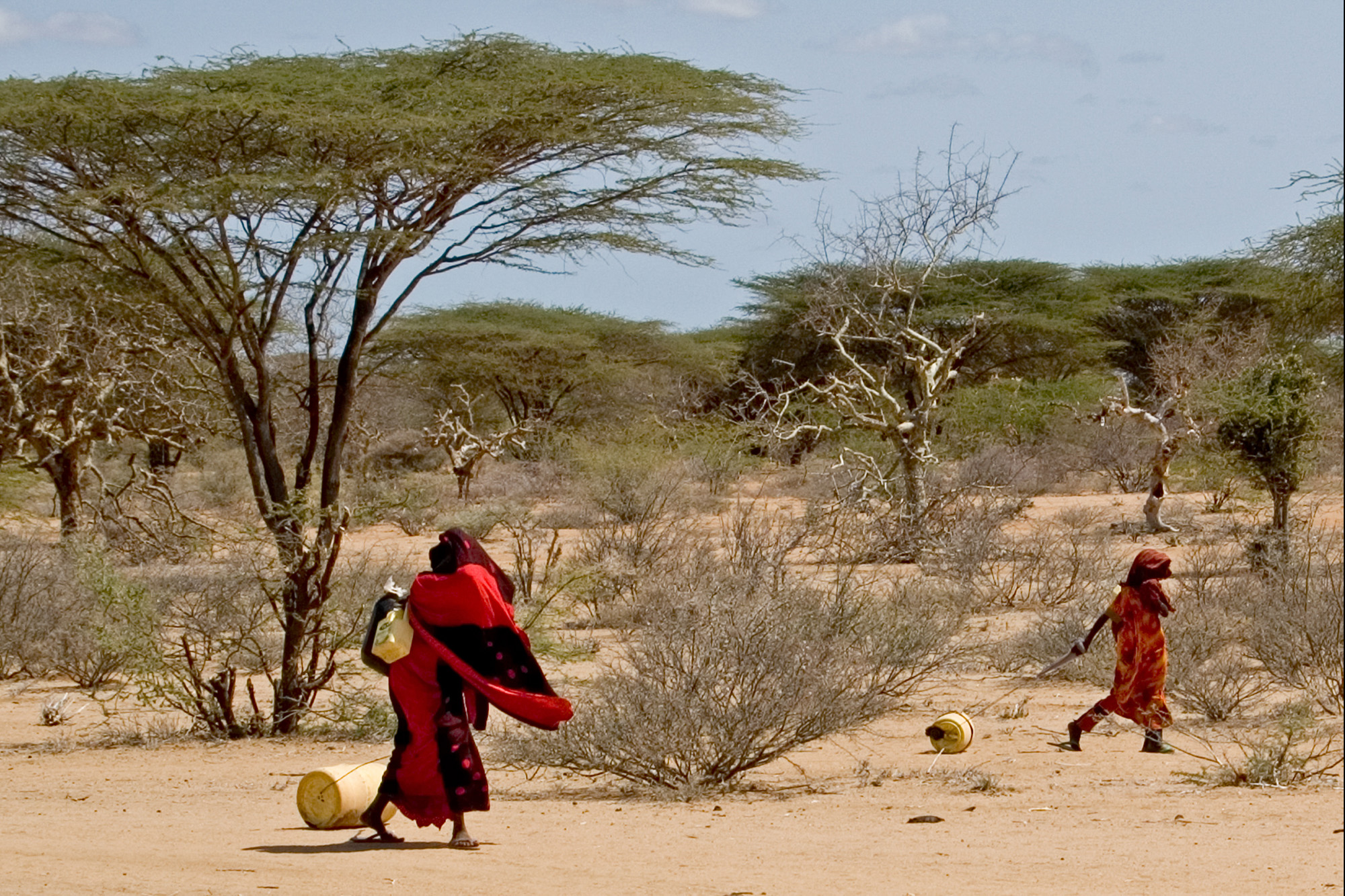 Women transporting, water, Kenya, desert, Garissa, drought