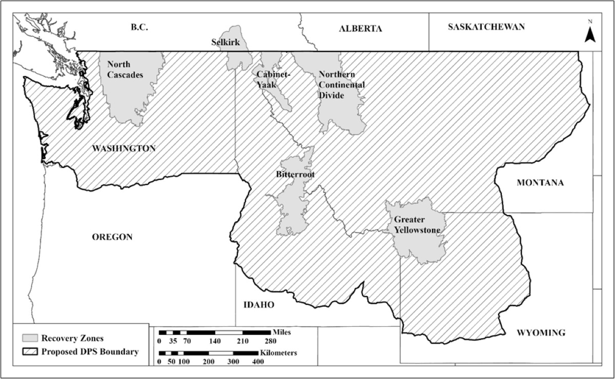 lower 48, grizzly bear, DPS boundary, current recovery zones