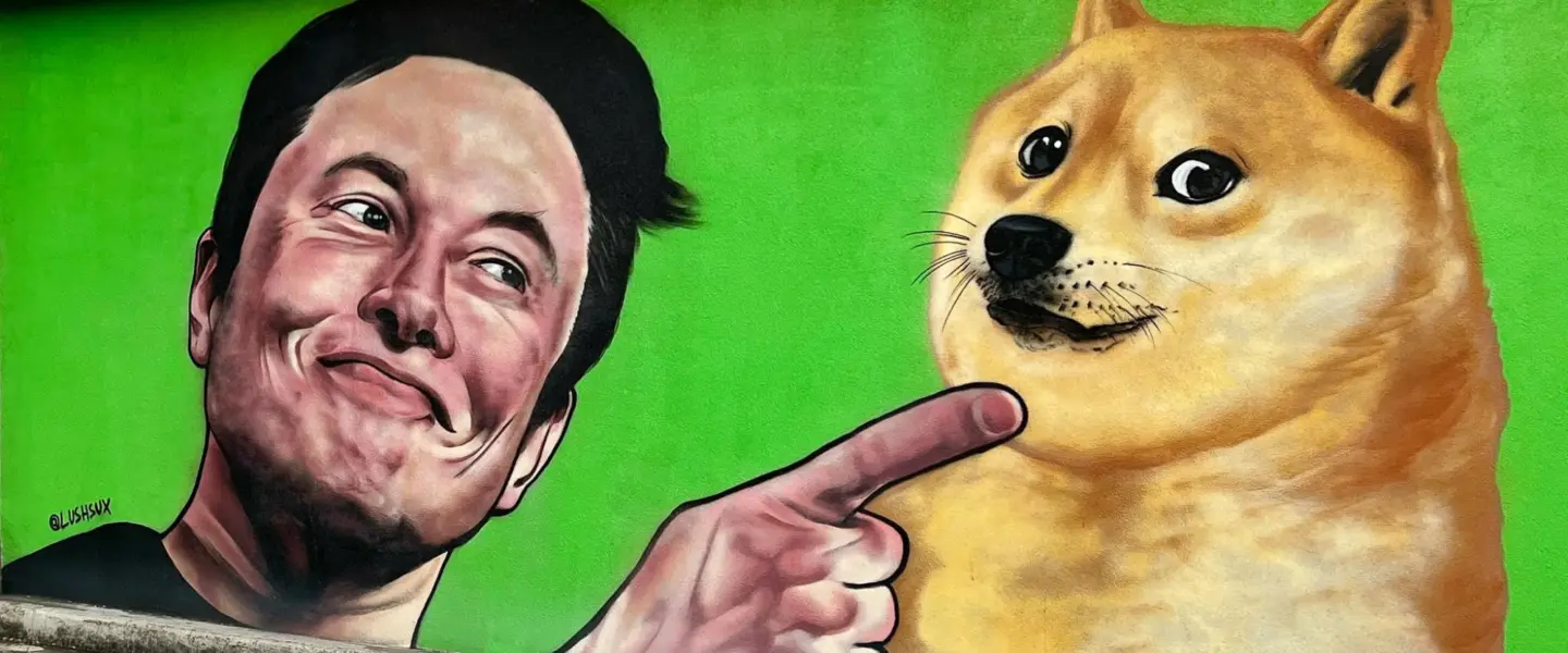 Elon Musk, Doge, Wall, Art