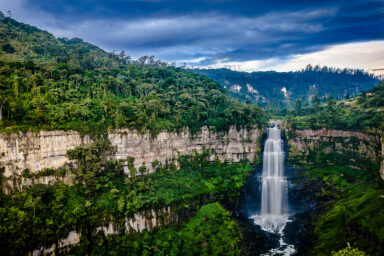 science, nature, deforestation, Colombia, record low level