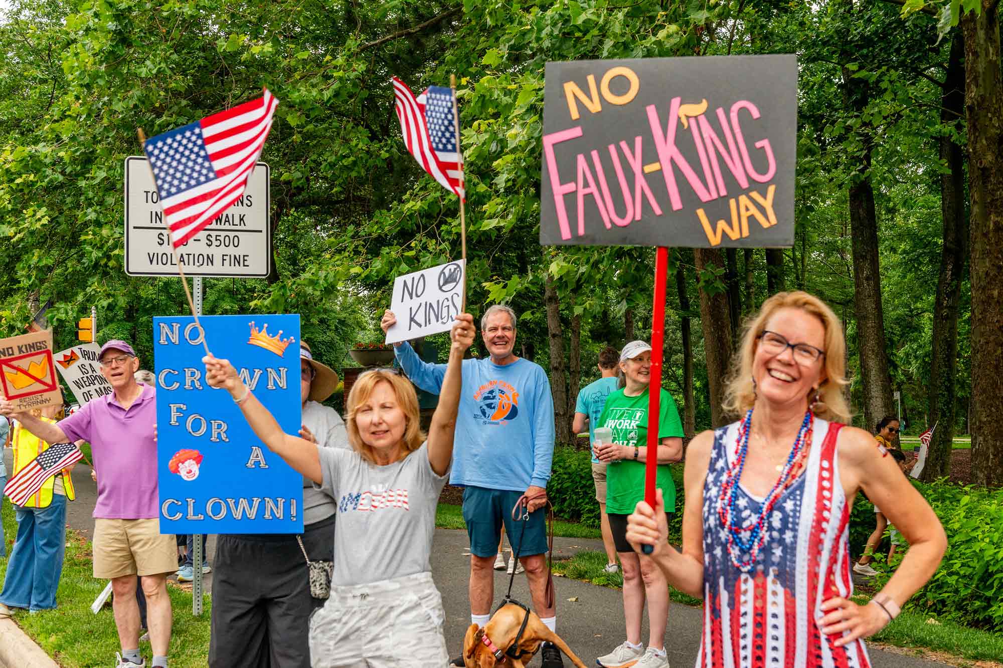 No Kings, protesters, Reston, VA, June 14th, 2025