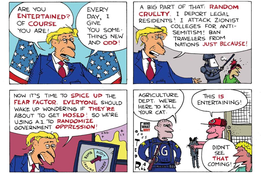 Donald Trump, Cruelty is the point, content creator