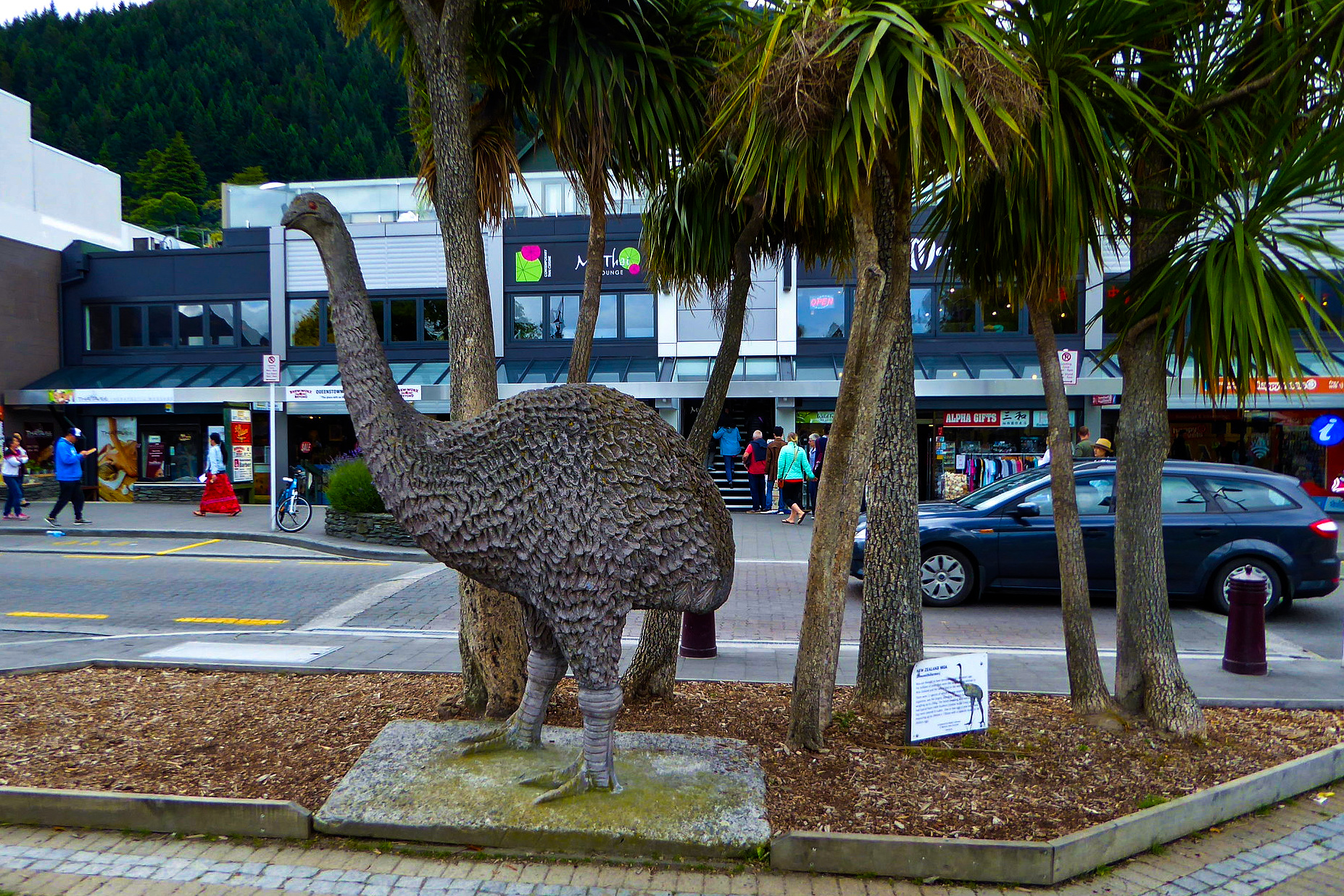 science, nature, biodiversity, extinct animals, giant moa