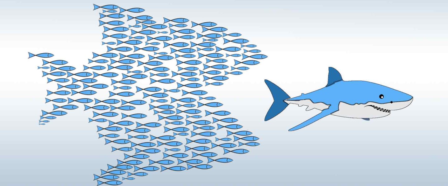 Community organizing, school of fish eating shark