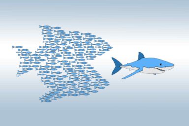 Community organizing, school of fish eating shark