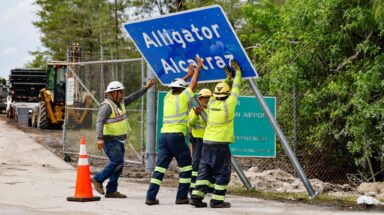 Workers, install, Alligator Alcatraz, sign