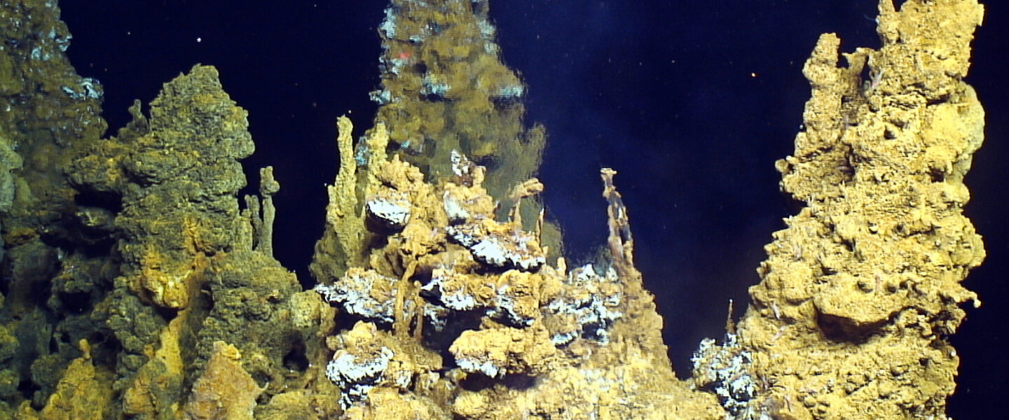 science, astronomy, Snowball Earth, life, survival, molecular fossils