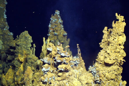 science, astronomy, Snowball Earth, life, survival, molecular fossils