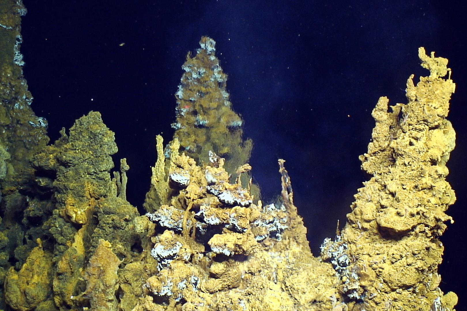 science, astronomy, Snowball Earth, life, survival, molecular fossils