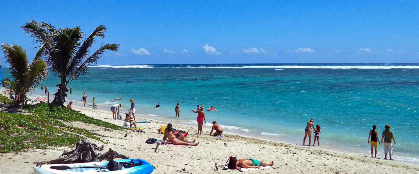 science, nature, oceans, Réunion, shark attacks, prevention, research hub