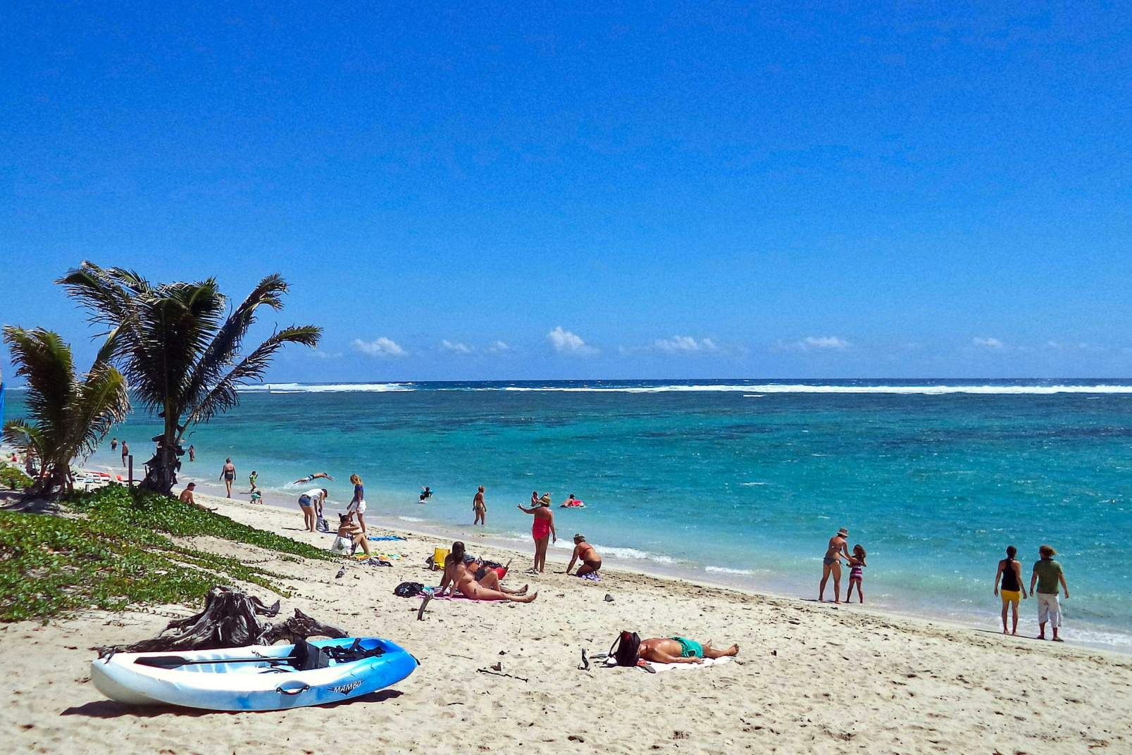 science, nature, oceans, Réunion, shark attacks, prevention, research hub