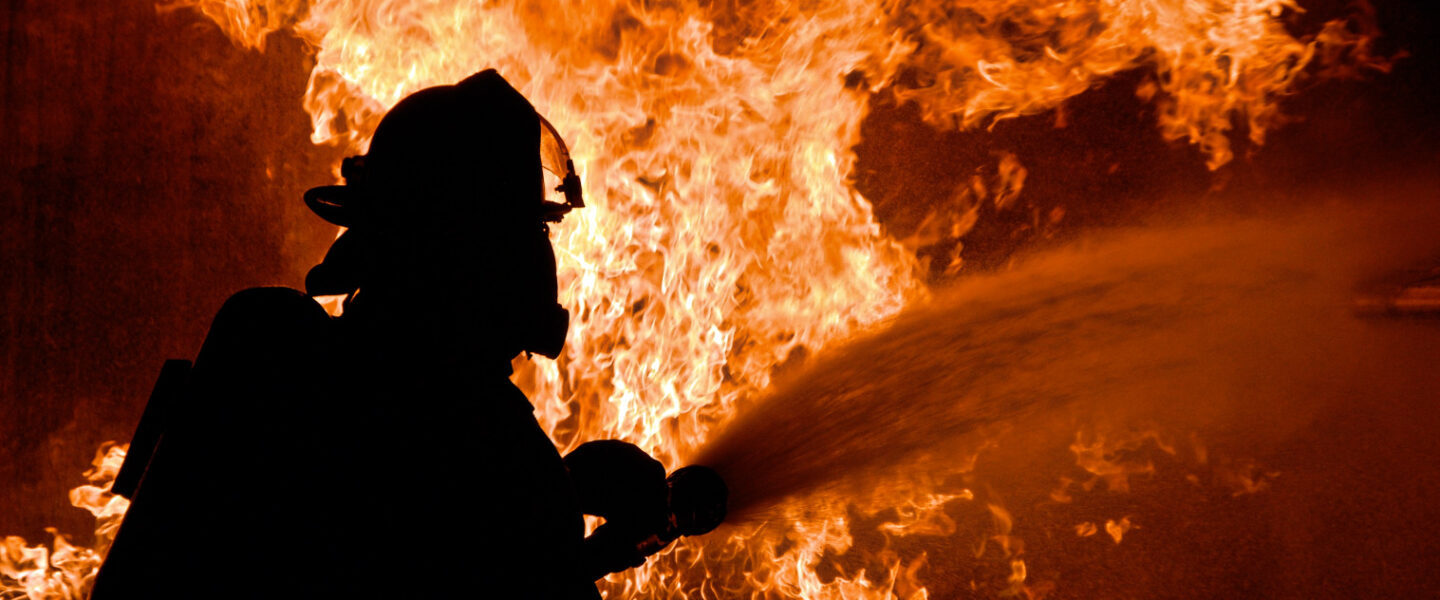 climate crisis, global warming, greenhouse gases, carbon, forests