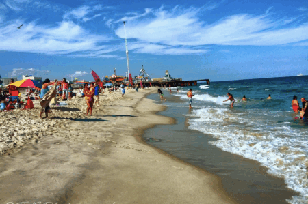 science, oceans, marine life, artificial reefs, Jersey Shore, barge, fish paradise