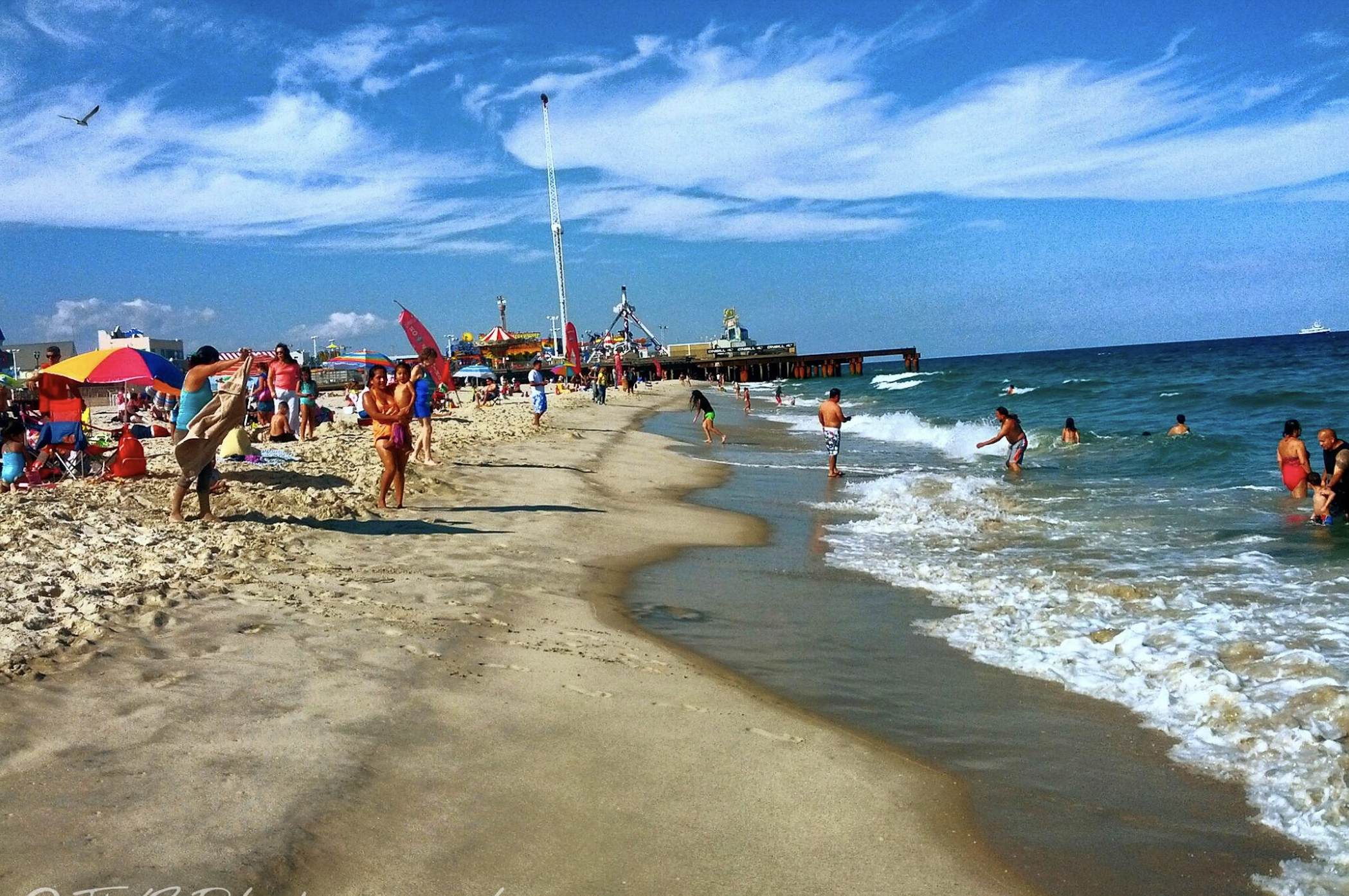 science, oceans, marine life, artificial reefs, Jersey Shore, barge, fish paradise