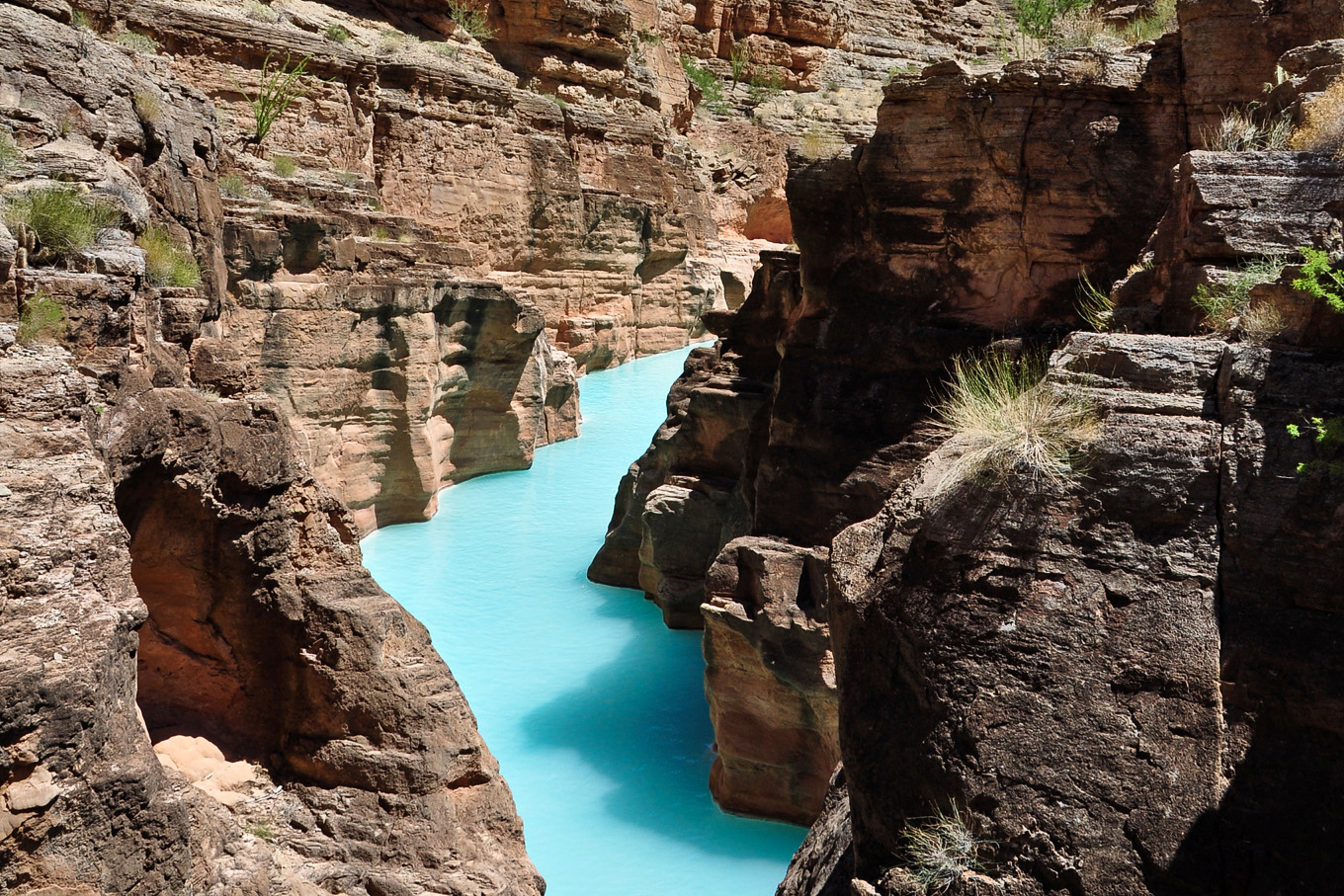 climate crisis, Colorado River, Arizona, California, Indian tribes, rights of nature proposal