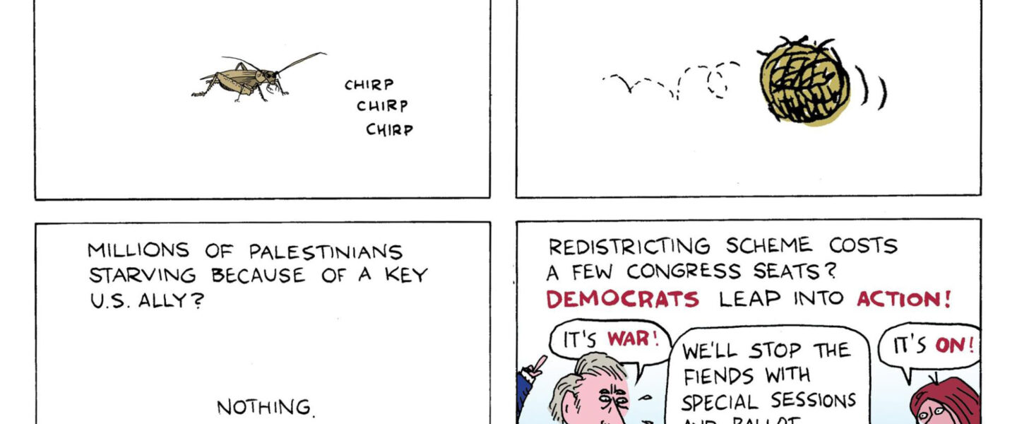 Income Inequality, Medicare for All, Starvation in Gaza, Trolling Trump