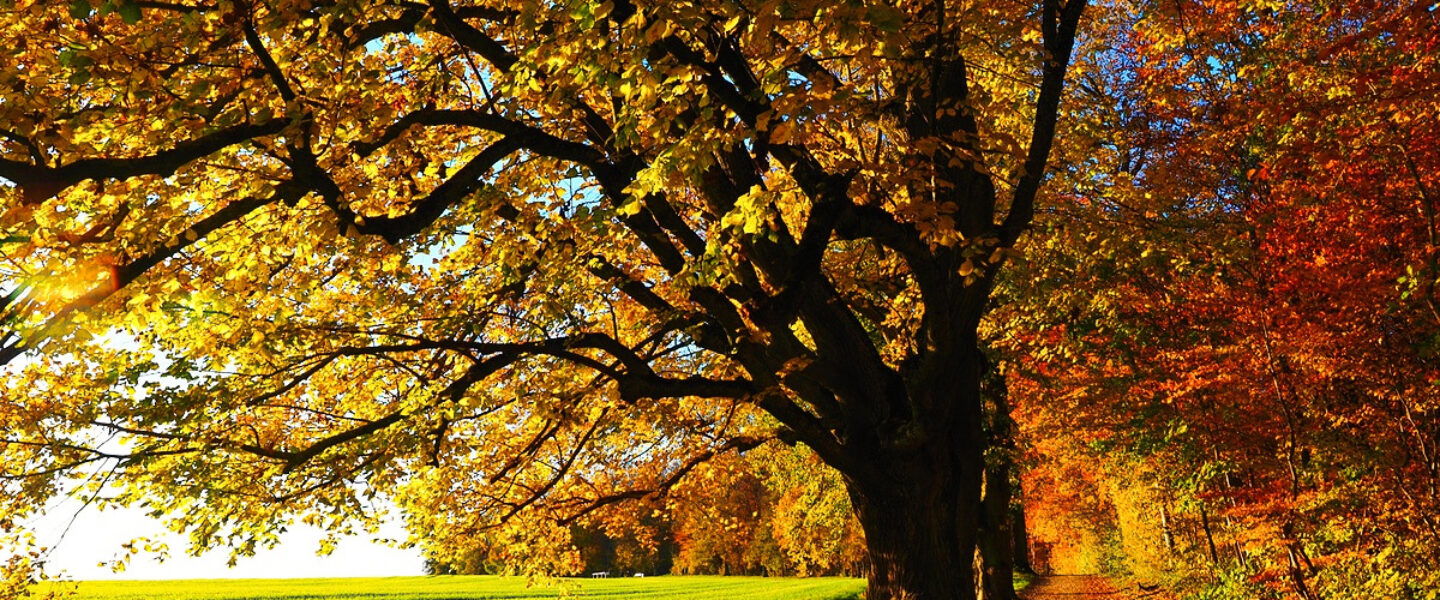 science, Earth, nature, equator, seasons, autumnal equinox