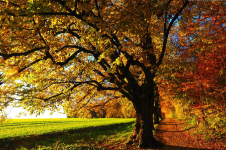 science, Earth, nature, equator, seasons, autumnal equinox