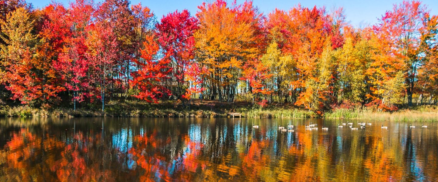 science, nature, autumn, US fall foliage 2025, peak predictions