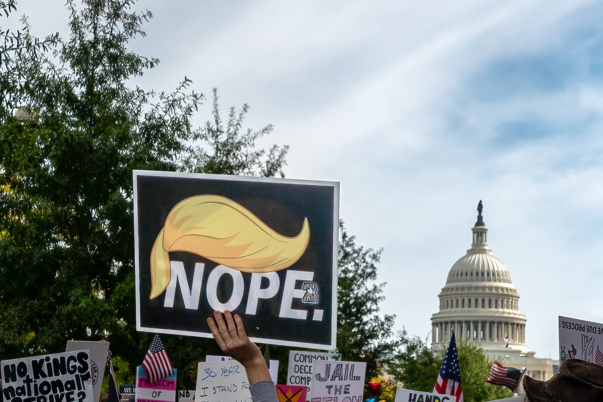 Nope sign, No Kings, Washington, DC