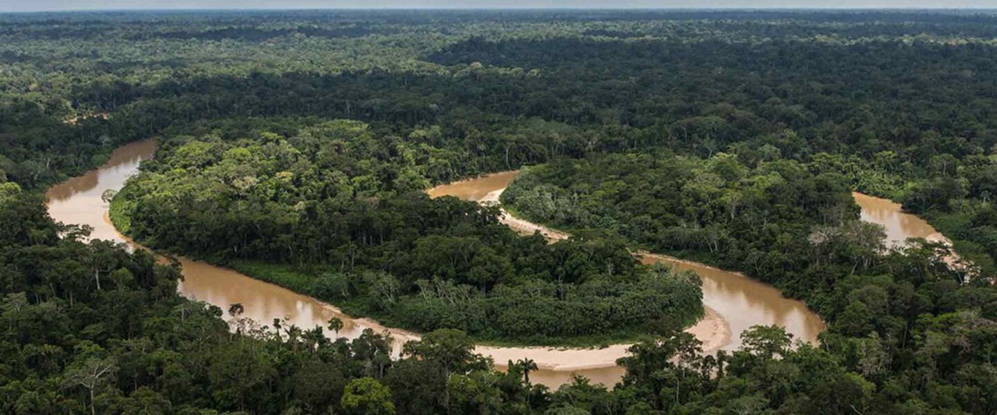 Amazon rainforest, lungs of the world