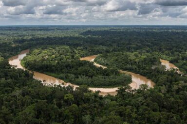 Amazon rainforest, lungs of the world