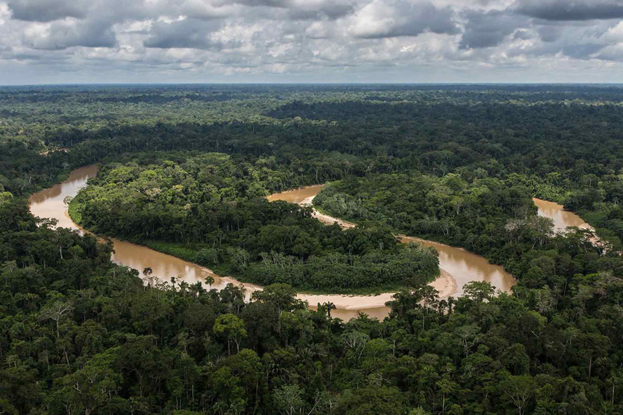 Amazon rainforest, lungs of the world