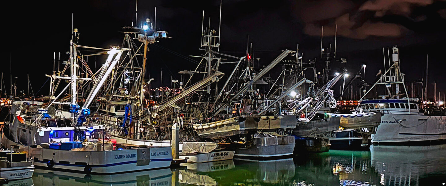 science, oceans, ecosystem, biodiversity, Argentina, squid jigging, overfishing