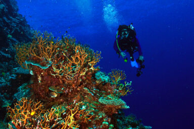 science, oceans, biodiversity, global UN treaty, marine protected areas