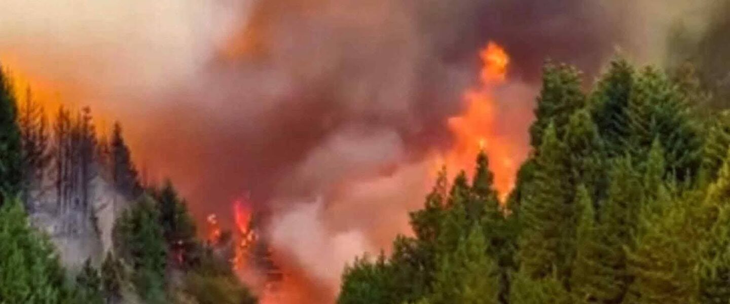 Fires, Patagonian, Argentina