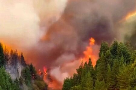 Fires, Patagonian, Argentina