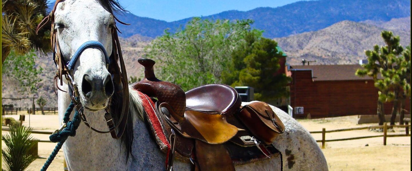 science, biodiversity, horses, whinny, whistle, sing, discovery