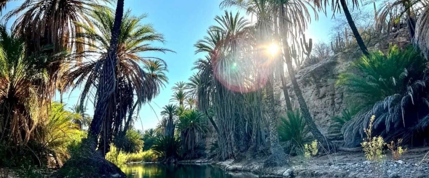 Baja, California Sur, drought, climate change