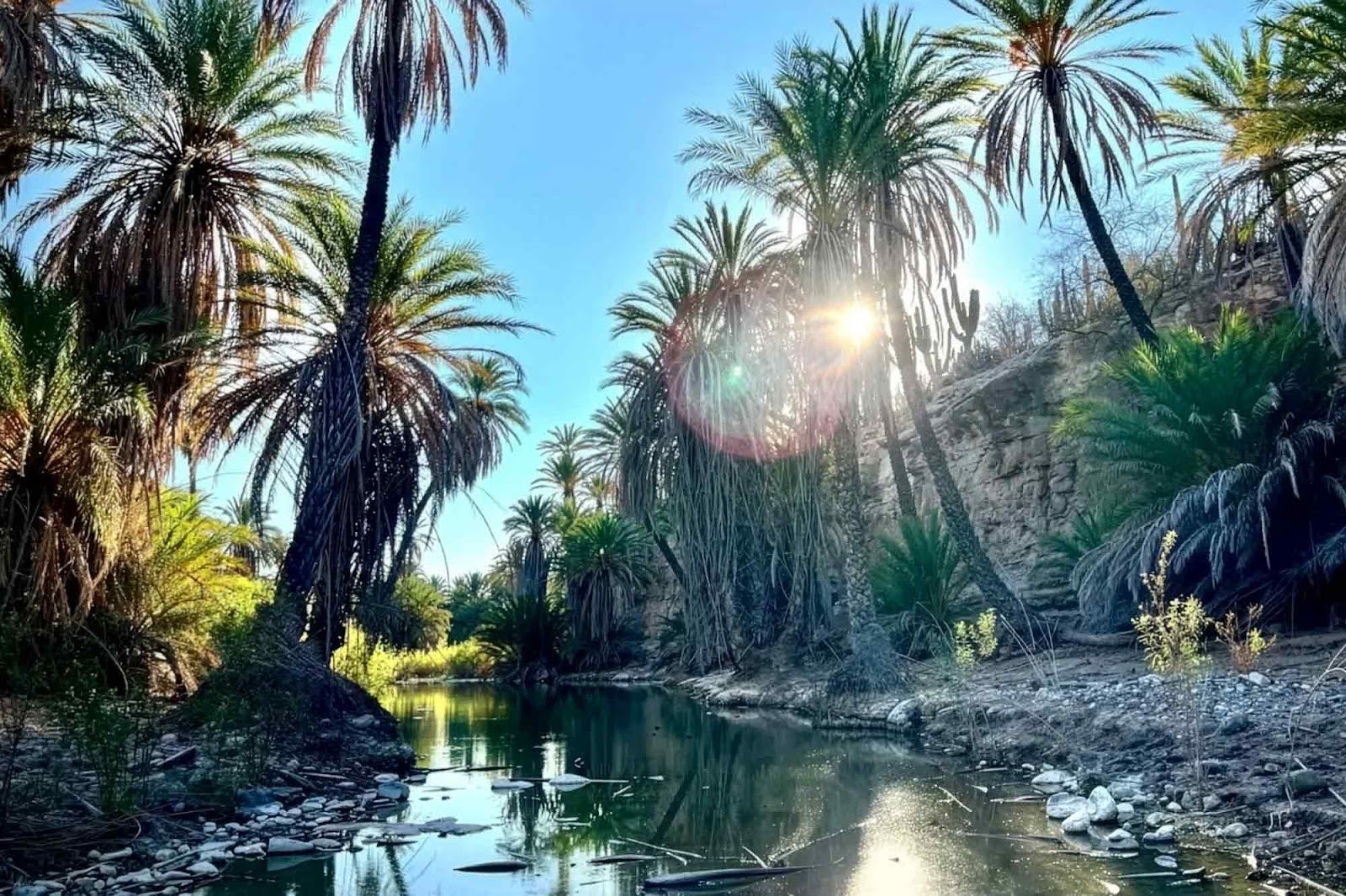 Baja, California Sur, drought, climate change