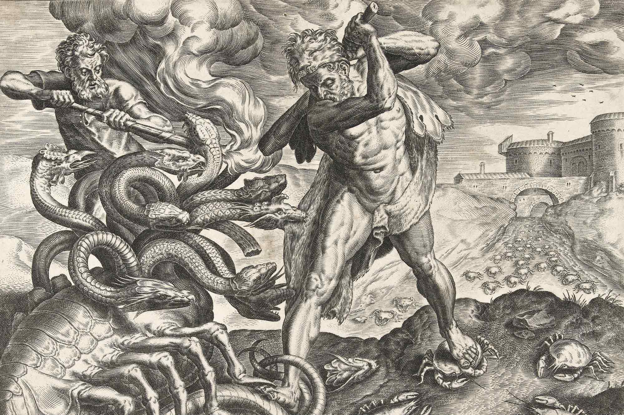 Hercules, Defeats, Hydra of Lerna