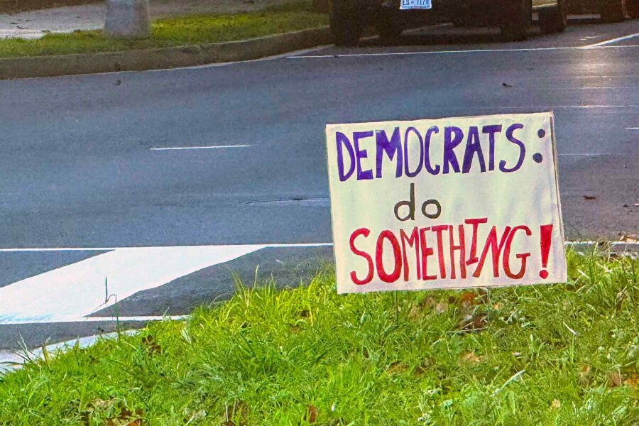DEMOCRATS do SOMETHING!, sign