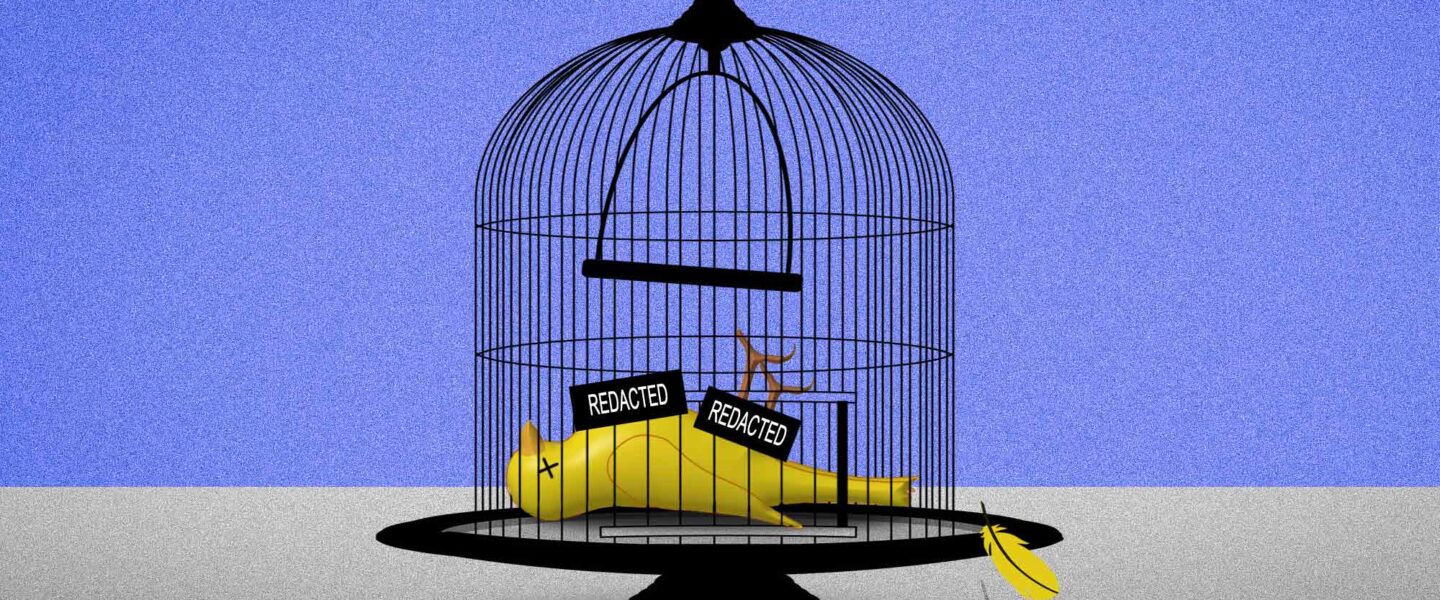 Dead canary, birdcage