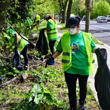 climate crisis, Earth Day, planet care, community events, everyday acts of green